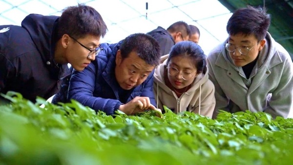 科技小院賦能薯鄉，甘肅通渭馬鈴薯產業迎來新機——全省農技協組織和科技小院建設工作推進會實地調研側記